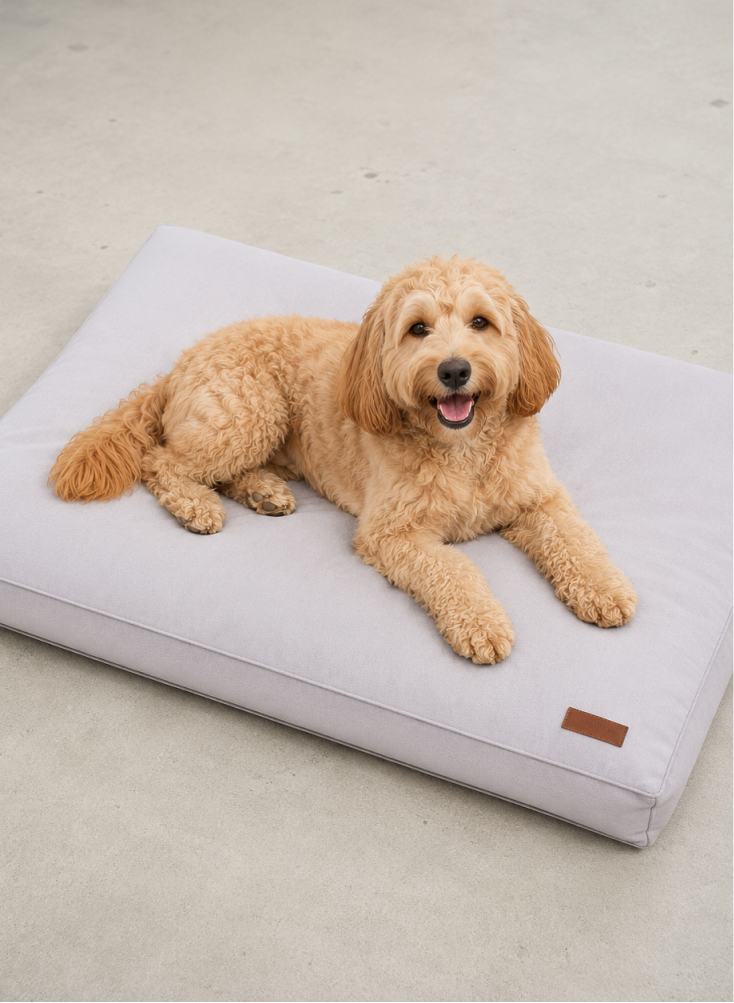 Cloud dog bed