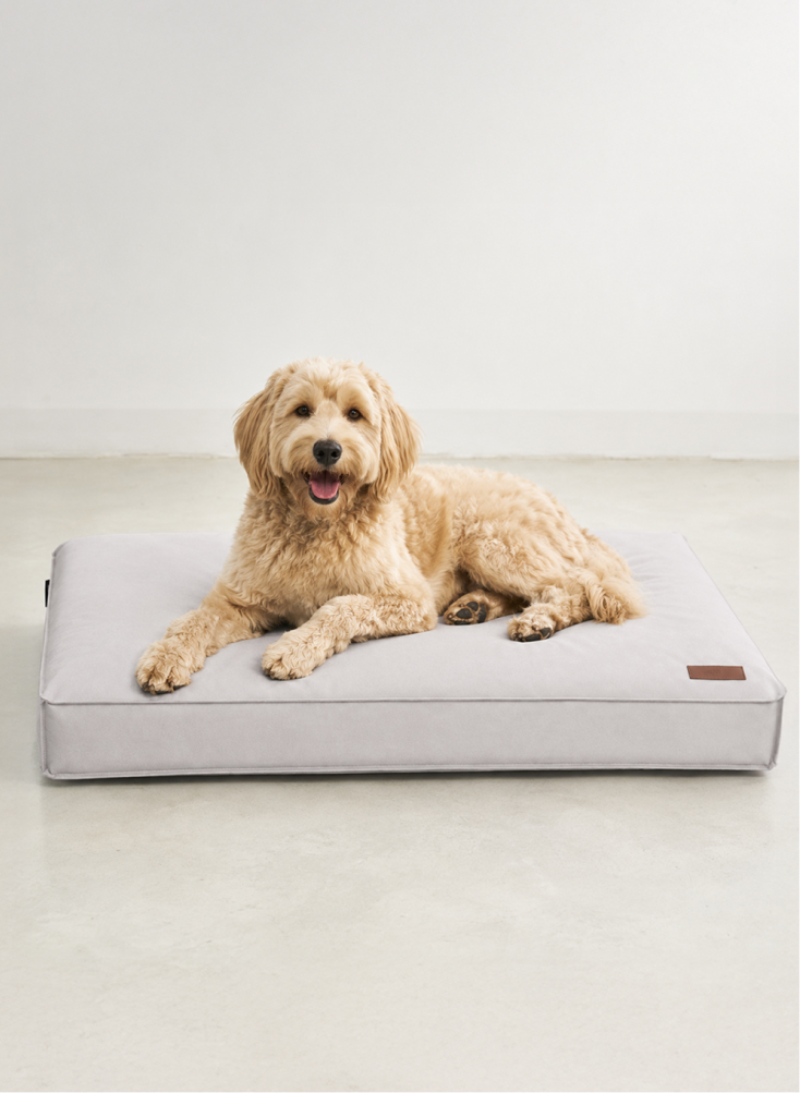Cloud dog bed