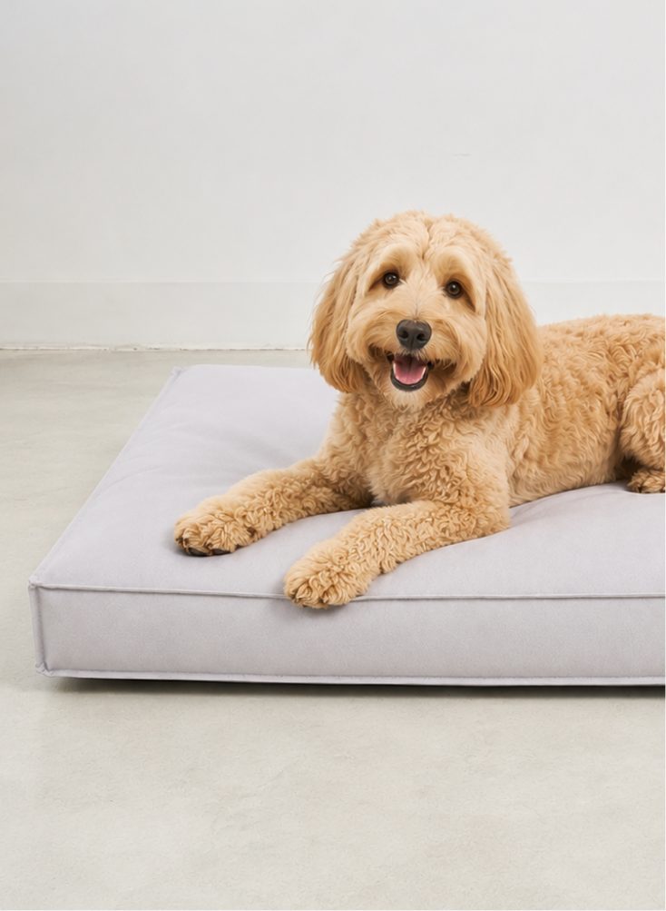 Cloud dog bed