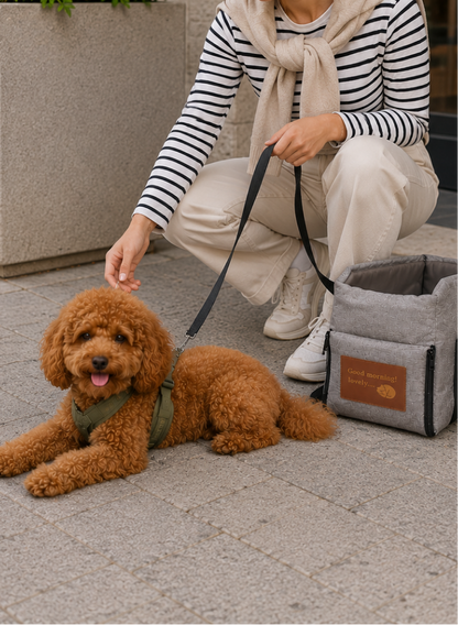 Zoovi WalkPack — Premium Dog Walking Bag