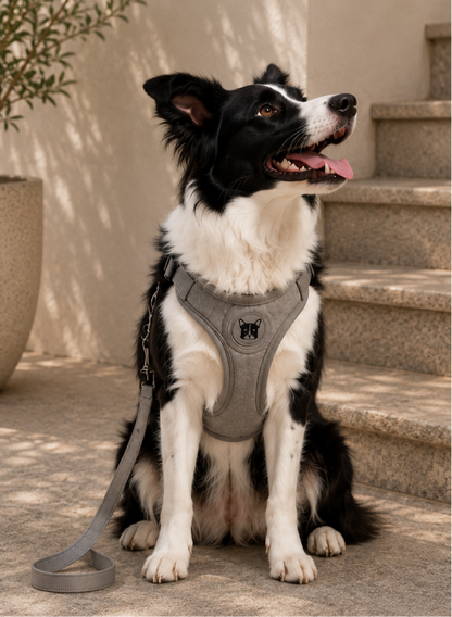 Aero dog harness