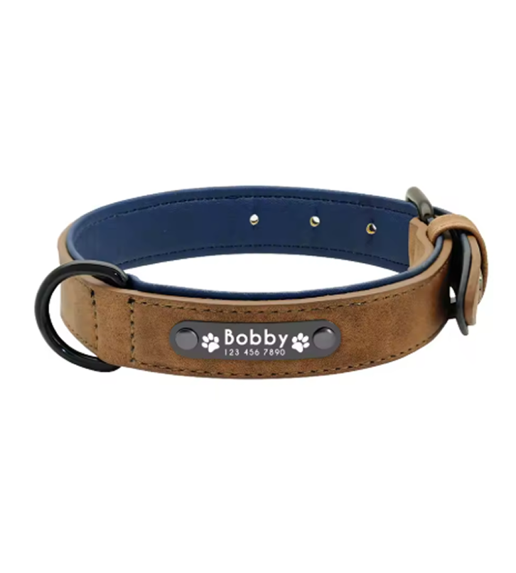 Arlo Dog Collar — lifestyle pug close up