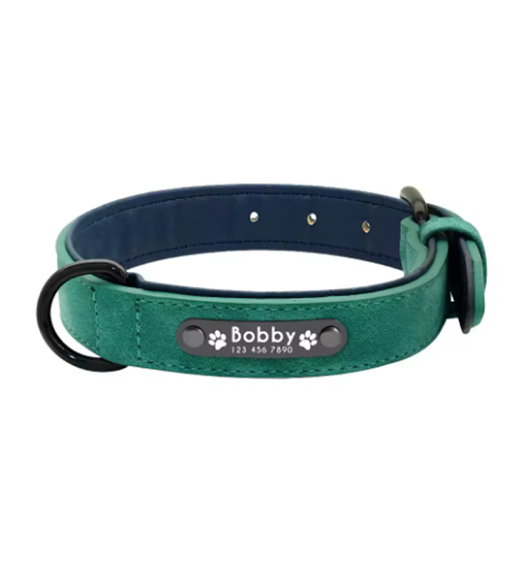 Arlo Dog Collar — lifestyle pug and dog
