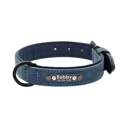Arlo Dog Collar — lifestyle brown dog
