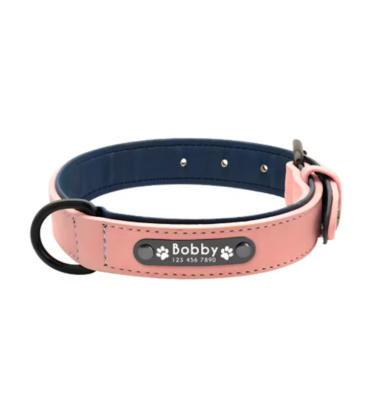 Arlo Dog Collar — lifestyle pug sitting outdoors