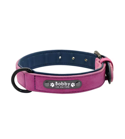 Arlo Dog Collar — lifestyle pug walk