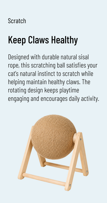 Scratch — Cat Scratching Ball